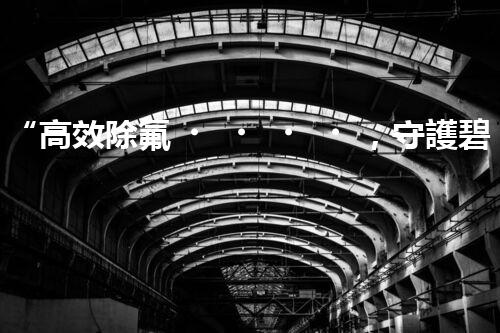 “高效除氟，守護碧水藍天——廢水中氟離子處理新篇章”